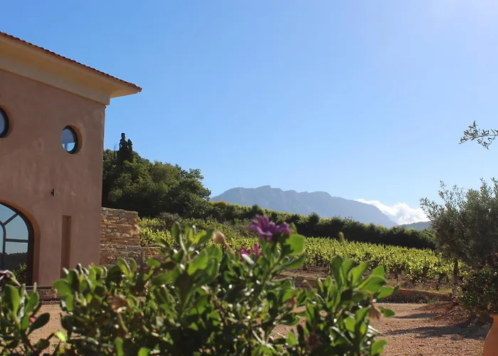 La Bastide - Le Grenache - Le Syrah Au Domaine Chateau Henri Bonnaud