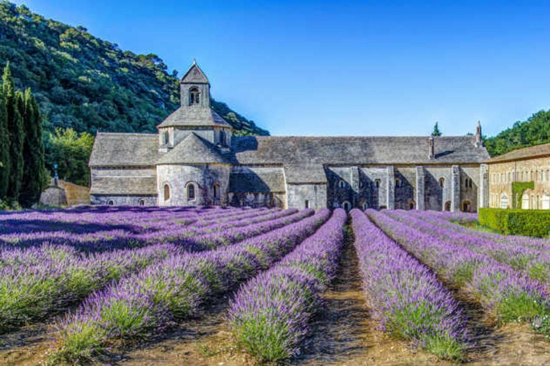Holiday home La Bastide - Le Grenache - Le Syrah Au Domaine Chateau Henri Bonnaud *